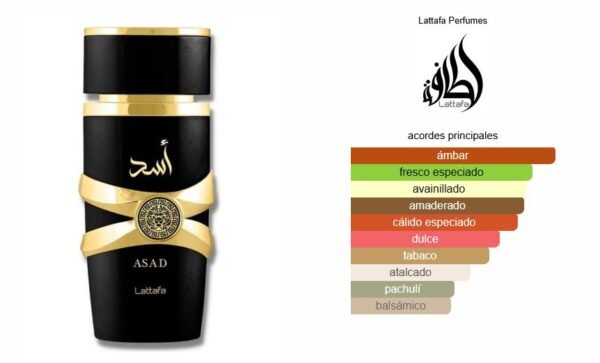 Asad 100ml EDP – Lataffa