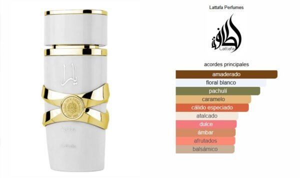 Yara Moi 100ml EDP – Lattafa