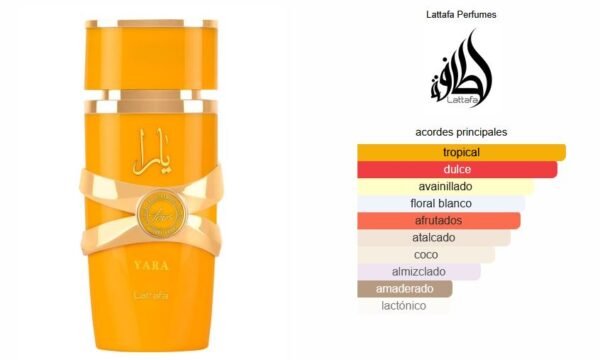 Yara Tous 100ml EDP – Lattafa