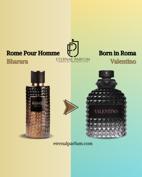 Dupe Rome Pour Homme Dupe Rome Pour Homme Web