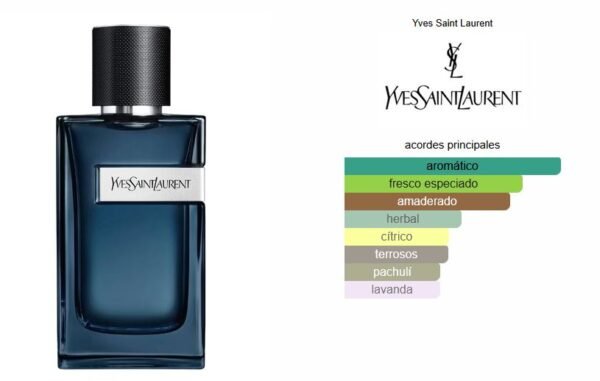 Y EDP intense notas Y EDP intense notas