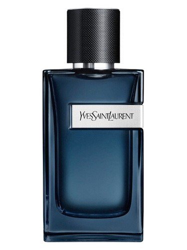 Y EDP intense Y EDP intense
